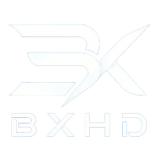Shenzhen Baixin Huida Electronic Co., Ltd.